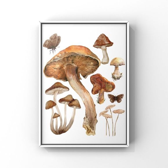 Vintage Mushroom Wall Art Print Home Decor Verities of Mushroom Group Art - Picture 3 of 4